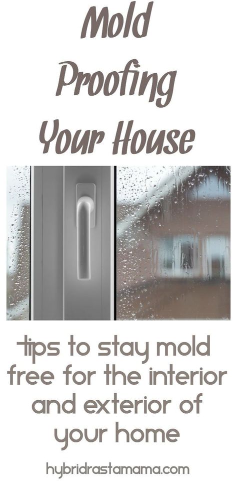 Kill Mold, Mold Toxicity, Mold Illness, Mold Prevention, Remove Mold, House Mold, Mold Exposure, Toxic Mold, Black Mold