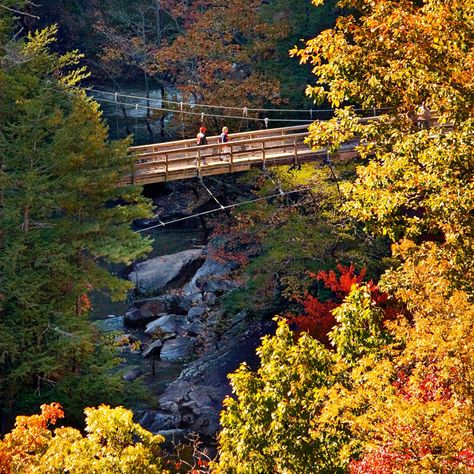 10 national parks to avoid the summer crowds Blue Ridge Scenic Railway, Chattahoochee National Forest, Carlsbad Caverns National Park, African American Museum, Channel Islands National Park, Kenai Fjords, American Colonies, National Park Road Trip, Georgia Usa