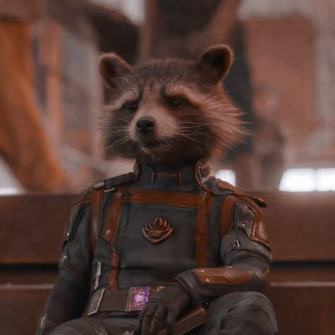 Rocket Raccoon Pfp, Rocket Raccoon Aesthetic, Literally Me Characters Icon, Guardians Of The Galaxy Icons, Hear Me Out Cake, Hear Me Out, Gotg Rocket, Rocket Raccoon Icon, Rocket The Raccoon