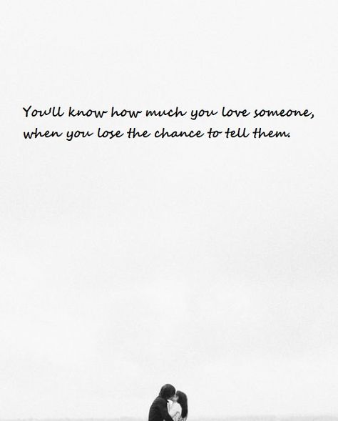 You'll know how much you love someone, when you lose the chance to tell them. Tell Them You Love Them, Love Someone, Song Of Solomon, Losing Someone, When You Love, More Than Words, Loving Someone, Random Things, To Tell