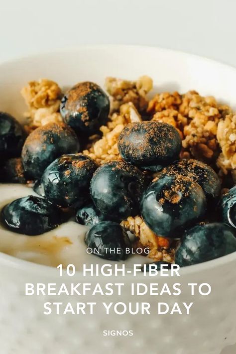 Trying to increase your fiber intake naturally? These 10 high-fiber breakfast recipes will help you start the day on the right foot. Fiber plays a crucial role in digestion and metabolic health, and adding fiber to your breakfast can keep you full longer, help with weight loss, and contribute to your overall well-being. Easy High Fiber Breakfast Ideas, Increase Fiber, Fiber Breakfast, Fiber Bread, High Fiber Breakfast, Metabolic Health, Oatmeal Bowls, Toast Toppings, High Protein Breakfast