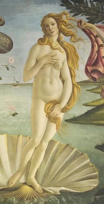 3 Things You Might Not Know About the Birth of Venus | DailyArt Magazine Giorgio Vasari, Birth Of Venus, Sandro Botticelli, Uffizi Gallery, Italian Painters, Goddess Of Love, Italian Art, Tempera, Inspirational People