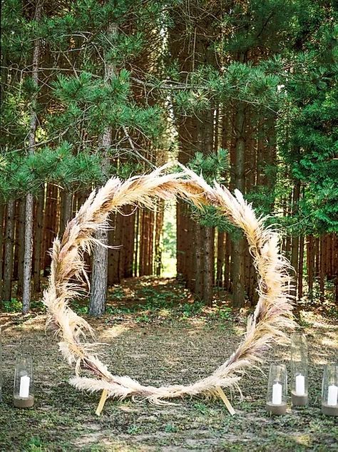 Pampas grass wedding, pampas grass decor, pampas grass ceremony arch, pampas grass ceremony backdrop, pampas grass ceremony arch circle Wedding Pampas Grass Decor, Pampas Grass Ceremony, Ceremony Alter, Wedding Pampas, Pampas Grass Wedding, Learning And Growing, Ontario Wedding, Pampas Grass Decor, Grass Decor