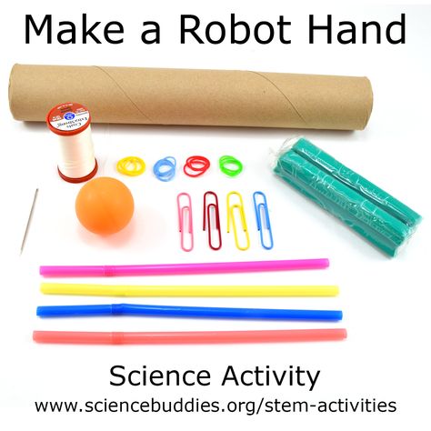 Wild Robot Stem Activities, Diy Robotic Hand, Robotic Hand Stem, Science Project Board, Robotics For Kids, Science Fair Projects Boards, Stem Robotics, Robotic Hand, Stem Camp