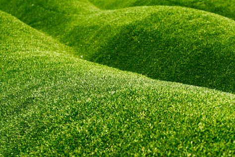 Can Artificial Grass Be Installed on a Slope? Plants Office, Plants Balcony, Plants Beautiful, Artificial Plant Arrangements, Grass Artificial, Artificial Grass Installation, Plants Diy, Artificial Garden, Boxwood Hedge