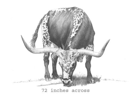 longhorn cattle drawing sketch Longhorn Sketch, Horns Drawing References, Longhorn Pencil Drawing, Cattle Drawing, Longhorn Skull Drawing, Long Horn Skull Drawing, Cattle Drawings Sketches, Longhorn Skull Sketch, Texas Long Horn Drawing