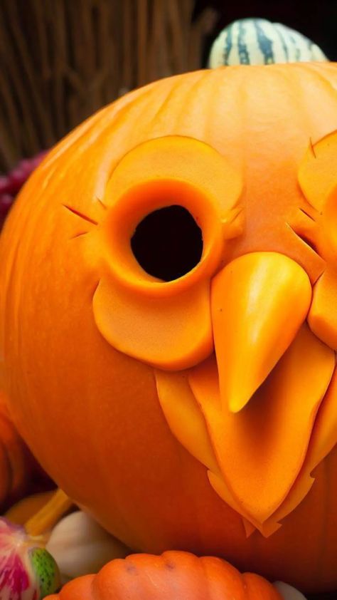 25 Pumpkin Carving Patterns For Thanksgiving - Design Corral Pumpkin Turkey Craft, Thanksgiving Pumpkin Carving, Turkey Craft For Kids, Pumpkin Masters, Pumpkin Carving Patterns Free, Carving A Turkey, Pumpkin Carving Tools, Thanksgiving History, Pumpkin Turkey