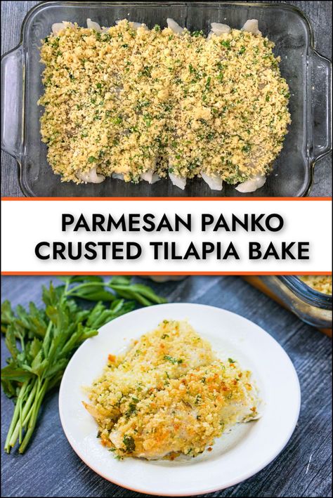 Breaded Tilapia Recipes Baked Parmesan Crusted, Panko Parmesan Tilapia, Panko Tilapia Fried, Tilapia Recipes Crusted, Crusted Baked Fish, Garlic Parmesan Tilapia, Quick And Easy Tilapia Recipes, Crusted Talipia Recipes, Herb Crusted Tilapia