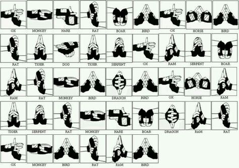 Kakashi Hand Signs Jutsu, Ninjutsu Hand Signs, Water Dragon Jutsu Hand Signs, Naruto Hand Signs Jutsu Water Style, Water Style Jutsu, Ninja Hand Signs, Naruto Hand Signs Jutsu, Hand Jutsu, Jutsu Hand Signs