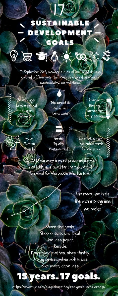 Sustainable Development Goals created by member states of the United Nations in 2015. By 2030, we hope to have achieved these goals. They contribute to society, energy, climate, etc. #ShareTheGoals #TUNscholarship Sustainable Magazine, Sustainability Career, 6rs Of Sustainability, Sustainable Development Projects Class 10, Sustainable Development Design, Un Sdg Goals, Sustainable Development Goals Poster, Sustainable Development Poster Sustainability, Class Board