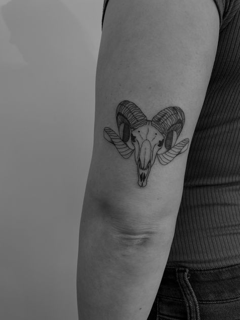 Fine line tattoo ram skull sheep inspo minimal minimalistic art artist inspo detailed Utah design big horn Aries Tattoo Animal, Aires Ram Tattoo, Capricorn Head Tattoo, Ram Hand Tattoo, Ram Skull Tattoo Feminine, Capricorn Skull Tattoo, Bighorn Sheep Tattoo, Sheep Skull Tattoo, Aries Skull Tattoo