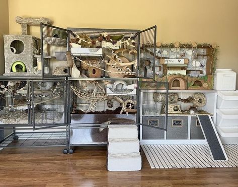 Themed Hamster Cages, Rat Room Ideas, Mouse Enrichment, Rat Free Roam Area, Chinchilla Enclosure, Mouse Cage Ideas, Ferret Room Ideas, Chinchilla Cage Ideas, Ferret Diy