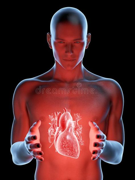 Holding Heart Reference, Person Holding Heart, Heart 3d, Holding Heart, Holding A Heart, Womens Health Care, Heart Illustration, Heart Drawing, Pose References