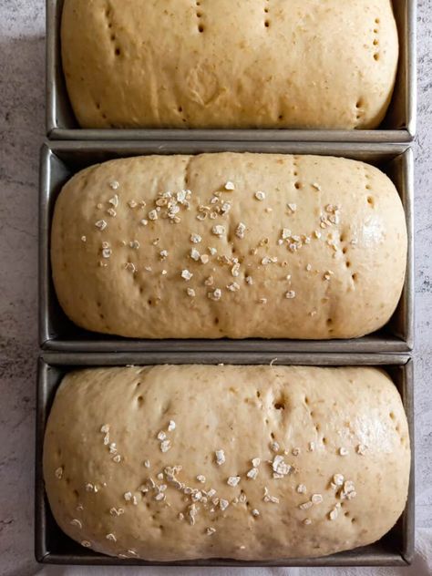 Oat Bread Recipe (Amish Oatmeal Bread with Honey) - Amish Heritage Amish Oatmeal Bread, Honey Oatmeal Sourdough Bread, Oatmeal Honey Bread, Iowagirleats Recipes, Oatmeal Bread Machine Recipes, Amish Whole Wheat Bread Recipe, Amish Wheat Bread Recipe, Oatmeal Bread Recipes, Homemade Oat Bread