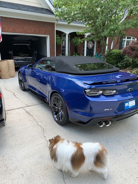 Zl1 Camaro, Chevrolet Camaro Convertible, Camaro Convertible, Camaro Zl1, Dream Car, Chevrolet Camaro, Hot Cars, Old Friends, Dream Cars