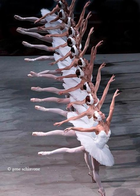 dance Famous Ballerinas, Swan Lake Ballet, Spinal Column, Ballet Pictures, Ballet Beauty, Ballet Inspiration, Russian Ballet, Swing Dancing, Ballerina Dancing