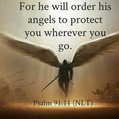 Psalm 17, Psalm 91 11, Woord Van God, Ayat Alkitab, San Michele, Warrior Quotes, Prayer Scriptures, Bible Verses Quotes Inspirational, Biblical Quotes