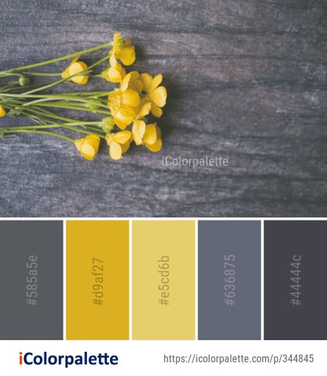 Color Palette For Home, Yellow Paint Colors, Color Palette Ideas, Decor Color Palette, Flower Image, Yellow Colour Scheme, Color Palette Yellow, Color Schemes Colour Palettes, Palette Ideas