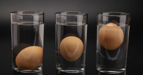 The Float Test: How to Tell If An Egg Has Gone Bad : The Hearty Soul Egg Good Or Bad, How To Tell If Eggs Are Good, How To Tell If An Egg Is Still Good, How To Tell If Eggs Are Still Good, Benefits Of Eating Eggs, Kitchen Elements, Bad Eggs, Egg Quality, Egg Production