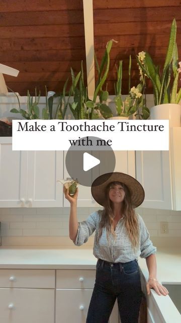 Jess Bergeron ✨✨Herbalist on Instagram: "Make a Toothache Tincture with me  🌿Comment METHOD and I will send you the link to how I make my spilanthes tincture and what tincture I recommend purchasing if you can’t make your own. 🌿  Spilanthes is an herbs that every mother needs to know before next cold and flu season. Like echinacea, spilanthes is highly antibacterial, antifungal, and antiviral.  Spilanthes is best known for its natural pain relieving and numbing properties.  Tincture can be applied directly to relieve tooth pain and combat infection.  Alcohol @organicalcohol  Herb @wild.ways.farm  Shirt @ilovelilya  Recommended Tincture @arielledemartinez and @mountainroseherbs" Spilanthes Tincture, Tinctures Recipes, Tooth Pain, Herbal Recipes, Lighten Skin, Aromatherapy Oils, Healing Herbs, Anatomy And Physiology, Aromatherapy