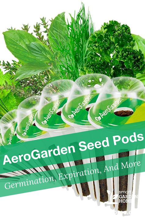 AeroGardens are great indoor garden kits that allow you to grow your own fresh herbs and vegetables in a convenient way. But there is more to Aerogarden Pods to know. https://smartgardenhome.com/hydroponics/aerogarden/seed-pods/?utm_source=pinterest&utm_medium=smartgardenhome&utm_campaign=publer #seedpods #aerogarden Aerogarden Pods, Aero Garden, Vegetable Drawer, Grow Herbs, Herb Garden In Kitchen, Seed Kit, Plant Nutrients, Smart Garden, Hydroponic Gardening