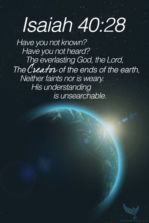 Isaiah 40:28  "Have you not known? Have you not heard? The everlasting God, the Lord, The Creator of the ends of the earth, Neither faints nor is weary. His understanding is unsearchable." Isaiah 40 28, Soli Deo Gloria, Favorite Bible Verses, Gods Promises, Scripture Quotes, Of The Earth, Verse Quotes, Christian Inspiration, Scripture Verses