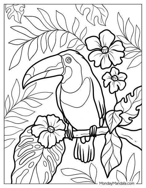 Toucan Coloring Page, Brazil Coloring Pages, Toucan Craft, Nature Coloring Pages, Birds Coloring Pages, Toucan Illustration, Jungle Coloring Pages, Animals Coloring Pages, Bird Coloring Pages