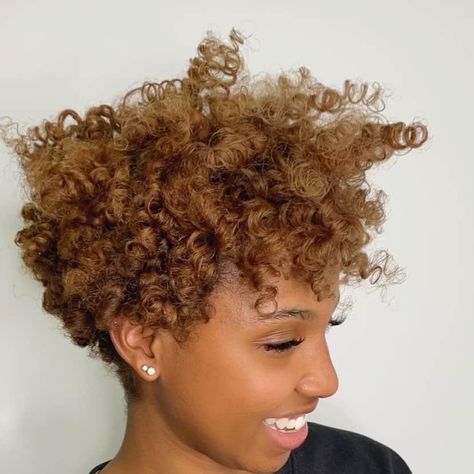 30 Trendy Hair Color Ideas For Black Women Black Natural Hair Color Ideas, Caramel Short Hair Color, Bronze Highlights On Black Hair, Short Colored Natural Hair Black Women, Hair Color Over 50 Women, Hair Colors 2024 Women, Color On Natural Hair Black Women, Hair Color For Natural Hair Black Women, Short Blonde Natural Hair Black Women