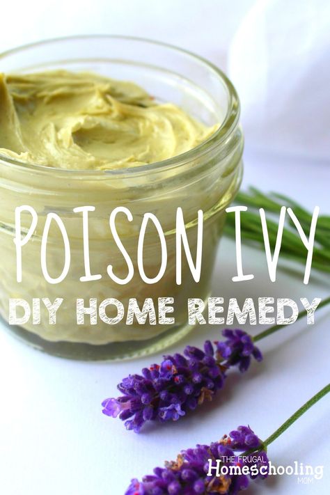 DIY homemade poison ivy remedy using natural ingredients, colloidal silver, and essential oils. This poison ivy paste home recipe gives effective relief! #poisonivyremedies #poisonivy #poisonivyhomeremedies #diypoisonivyremedies #poisonivyessentialoilremedies Poison Ivy Essential Oils, Poison Ivy Home Remedies, Poison Ivy Killer, Poison Ivy Relief, Poison Ivy Remedies, Poison Ivy Rash, Diy Medicine, Salve Recipes, Homemade Oatmeal