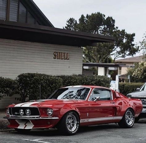 Mustang Gt 350, Ford Mustang Shelby Gt, 1968 Mustang, Vintage Mustang, Ford Mustang Car, Aesthetic Cool, Auto Retro, Ford Mustang Fastback, Classic Mustang