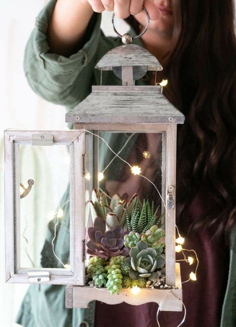 Lantern With Succulents, Terrarium Ideas Wedding, Succulents In Lanterns, Patio Lanterns Decor Ideas, Plant Based Quotes, Spring Lantern Decor Ideas, Terrarium Aesthetic, Outdoor Lantern Ideas, Succulent Lantern