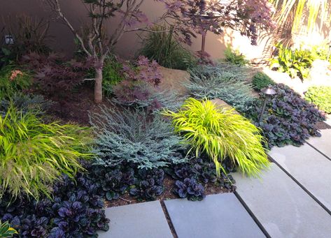 Dry Garden Landscaping, Japanese Garden Landscape, Dry Garden, Japanese Garden Design, Front Landscaping, Landscaping Tips, Modern Landscaping, Front Yard Landscaping Design, Shade Garden