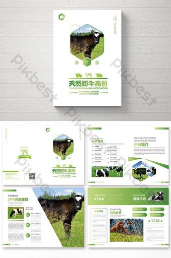 Simple style natural cow Brochure#pikbest#templates Farm Brochure, Education Banner, Cosmetic Creative, Cow Pictures, Church Poster, Brochure Layout, Ecommerce Design, City Illustration, Simple Cartoon