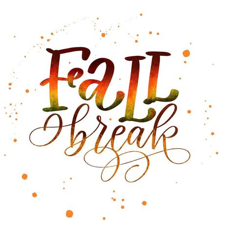 Anyone else on Fall Break? 🍂  We are enjoying our break in the beautiful mountains! 🏔 . . . . . . . #handlettering #calligraphy… Handlettering Calligraphy, Fall Break, Break In, Beautiful Mountains, Hand Lettering, Calligraphy, Art