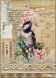 Related image Nick Bantock, Ephemera Ideas, Altered Cards, Vintage Journals, Art Altéré, Embellishments Diy, Creative Collage, Istoria Artei, Collage Book