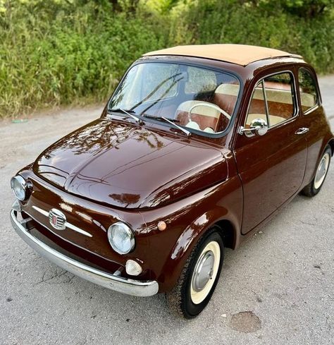 Vintage Fiat 500, Old Timey Cars, Classic Fiat 500, Fiat 600 Vintage, Classic Cars Aesthetic, Vintage Fiat, Fiat 500 Vintage, Fiat Car, 50s Cars