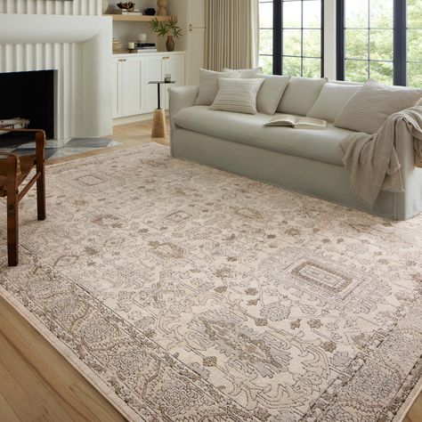 Shabby Chic Area Rugs, Living Room Statement Piece, Contemporary Rugs Design, Condo Renovation, Alexander Home, Elegant Entryway, Serene Bedroom, Apartment Style, Moroccan Area Rug