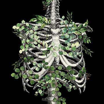 "Ribcage botanical, rib cage, floral anatomy skeleton with eucaliptus leaves" Sticker for Sale by Collagedream | Redbubble Ribcage Art Aesthetic, Rib Cage Dress, Open Ribcage Drawing, Skeleton Ribs Aesthetic, Rib Sculpture, Rib Cage Sculpture, Ribs Reference, Ribcage Reference, Skeleton With Plants