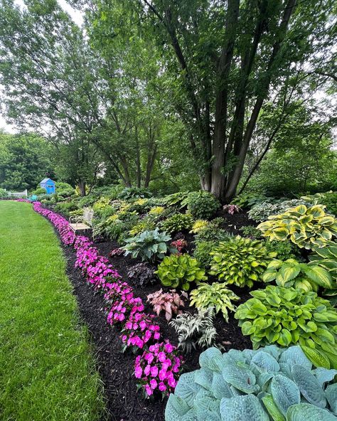 Full Shade Landscaping, Amazing Landscaping Ideas, Dream Garden Backyards, Shade Landscaping, Front Lawn Landscaping, Shade Garden Design, Front Garden Landscape, Garden Calendar, Fall Garden Vegetables