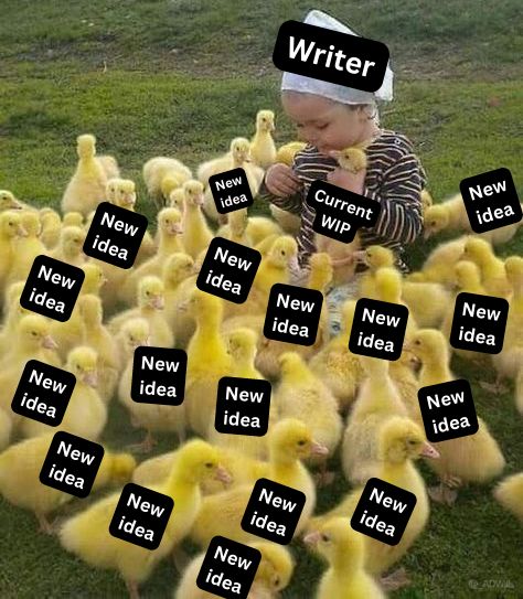 Chickens - Writers Write Writer Problems, Writer Memes, Writer Humor, Writing Humor, Writing Memes, Trying My Best, A Writer's Life, Writing Inspiration Prompts, Book Writing Inspiration