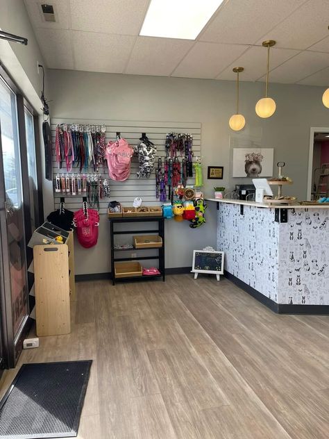 Dog Grooming Parlour Ideas, Dog Grooming Salon Decor Reception Desks, Grooming Salon Organization Ideas, Boarding Dog Kennel Ideas, Dog Grooming Studio Ideas, Small Pet Grooming Salon Ideas Design, Dog Grooming Salon Design, Grooming Salon Lobby, Pet Grooming Business Interior Design