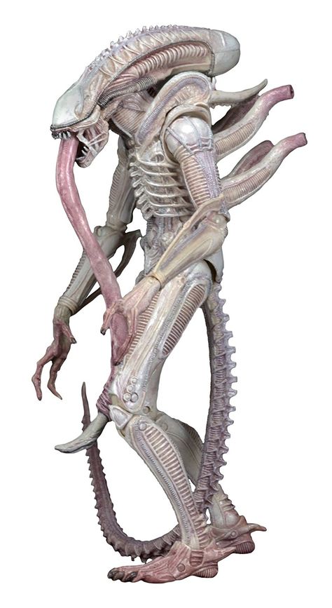 Amazon.com: NECA Aliens 7" Scale Series 9 Xenomorph ALBINO Drone Action Figure: Toys & Games Giger Alien, Predator Alien Art, Alien Artwork, Art Alien, Beast Creature, Arte Alien, Aliens Movie, Creature Artwork, Alien Concept