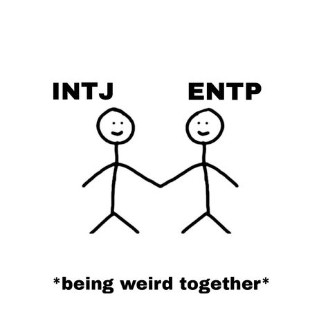 Intj And Entp, Infj And Entp, Entp And Intj, My Moon Sign, Retro Games Wallpaper, Intj T, Intp T, Mbti Memes, Intj Personality