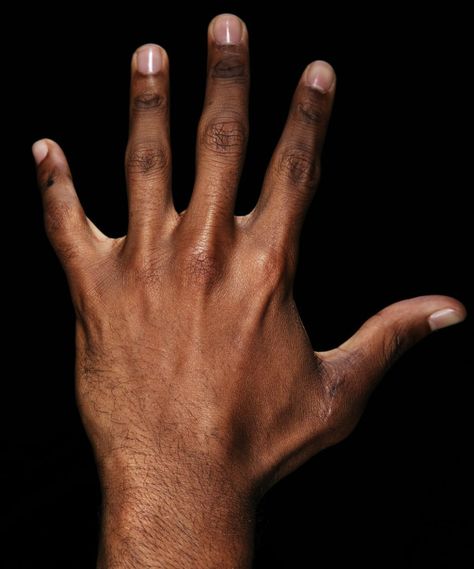 Chris Paul Clippers, Hand Anatomy, Higher Art, Figurative Kunst, Back Of Hand, Hand Drawing Reference, Chris Paul, Hand Reference, Human Reference