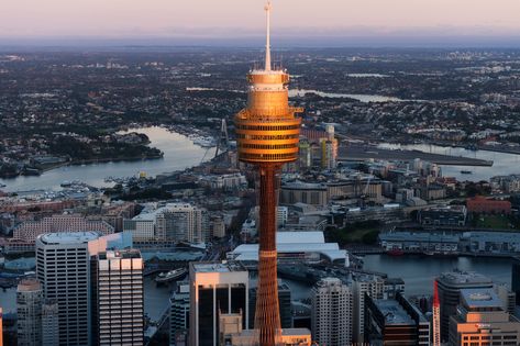 Did you know Sydney Tower was opened to the public in August 1981? Find out about this iconic Sydney landmark and get the best priced tickets online now. Sydney Tower Eye, Sydney Tower, Sydney Skyline, Visit Sydney, Gantry Crane, Observation Deck, Center Point, The Blue Mountains, Famous Landmarks