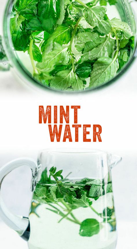 Easy Mint Water Recipe – A Couple Cooks Mint Uses Recipes, Mint Recipes Drink, Recipes With Mint Leaves, Mint In Water, Recipes With Mint, Spearmint Recipes, Mint Leaves Recipe, Mint Recipes Fresh, Mint Infused Water