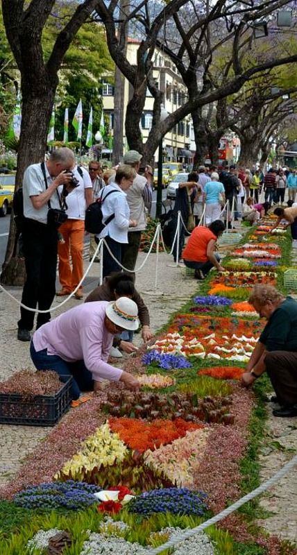 Tapetes de flores | Festa da Flor | Madeira Flower Festival | Funchal City, Madeira Island Sao Miguel Azores, Funchal Madeira, Azores Portugal, Portuguese Culture, Iberian Peninsula, Festivals Around The World, Flower Festival, Visit Portugal, Funchal