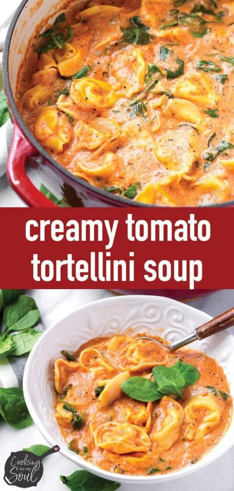 Tortellini Soup Crockpot, Creamy Tomato Tortellini Soup, Creamy Tomato Tortellini, Cheese Tortellini Soup, Tomato Tortellini, Creamy Tortellini Soup, Creamy Tortellini, Tomato Tortellini Soup, Hearty Chili