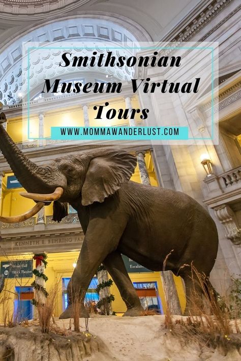 Museum Kids Activities, Indoor Kid Activities, Dc Museums, Virtual Museum Tours, Visit Dc, Smithsonian Museum, Virtual Field Trips, Virtual Travel, Virtual Museum