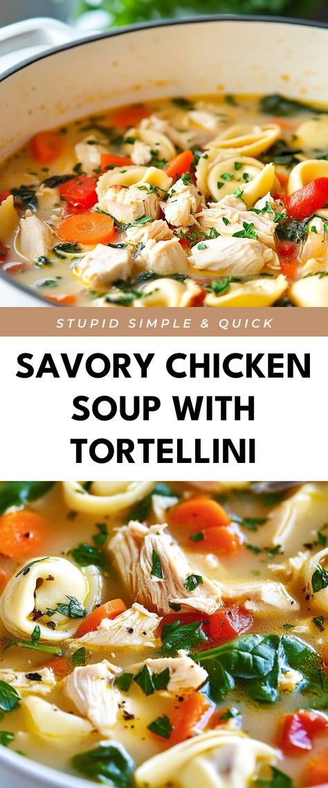 Image for Savory Chicken Soup with Tortellini Chicken Tortellini Soup With Kale, Easy Chicken And Tortellini Recipes, Soups With Tortellini, Chicken Tortellini Crock Pot, Chicken Tortalini Soup, Chicken And Tortellini Recipes, Crockpot Chicken Tortellini Soup, Tortellini Recipes Soup, Chicken Tortellini Soup Crock Pot